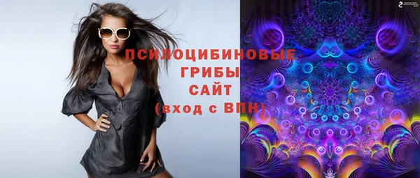тгк Белокуриха