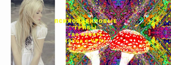 прущий лед Белоозёрский