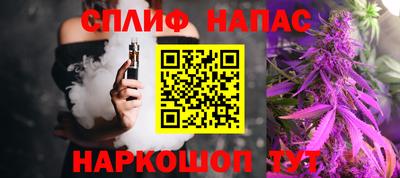 молекула духа Сланцы