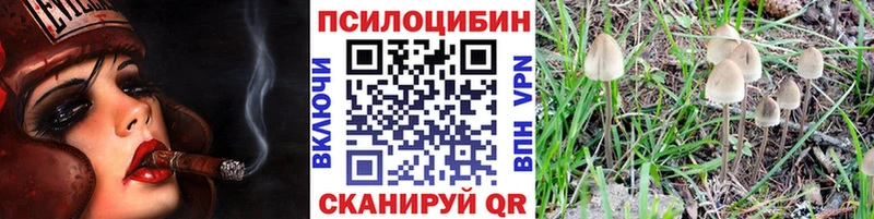 blacksprut зеркало  Саяногорск  Галлюциногенные грибы Cubensis 