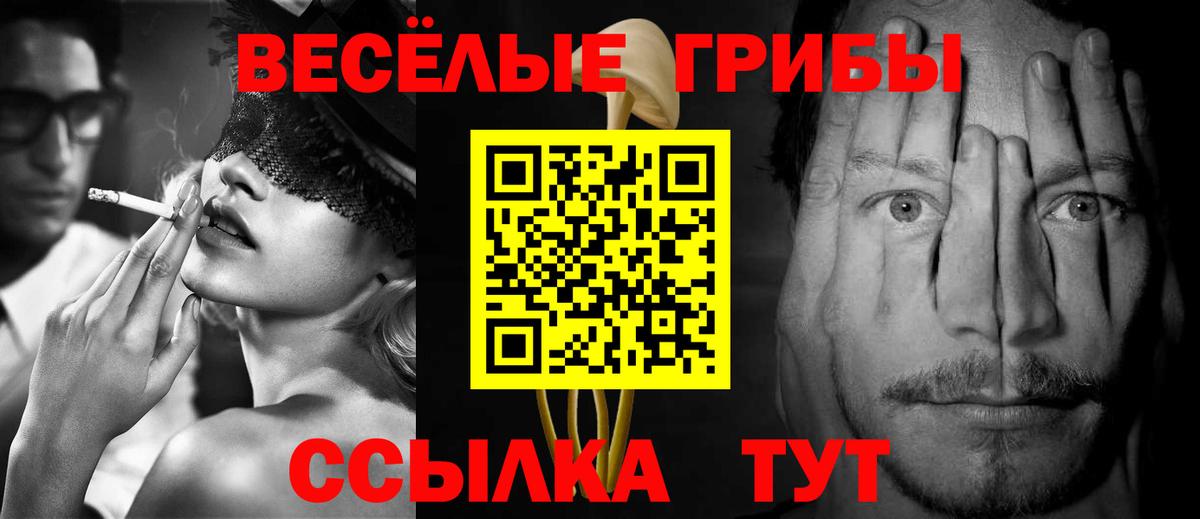 Галлюциногенные грибы прущие грибы  Галлюциногенные грибы Psilocybine cubensis  Вход с VPN  Саяногорск 