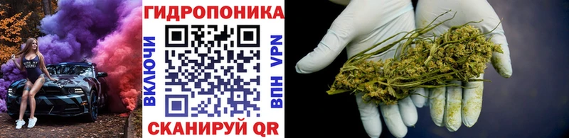 МАРИХУАНА ГИДРОПОН Саяногорск